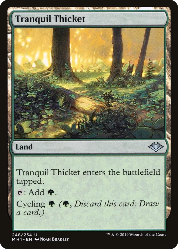 Tranquil Thicket - Modern Horizons #248